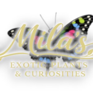 Puede incluir: Logotipo de "Mila's Exotic Plants & Curiosities" con una mariposa con patrones de alas coloridas. El nombre de la empresa est&aacute; en una fuente cursiva estilizada, con el lema debajo.