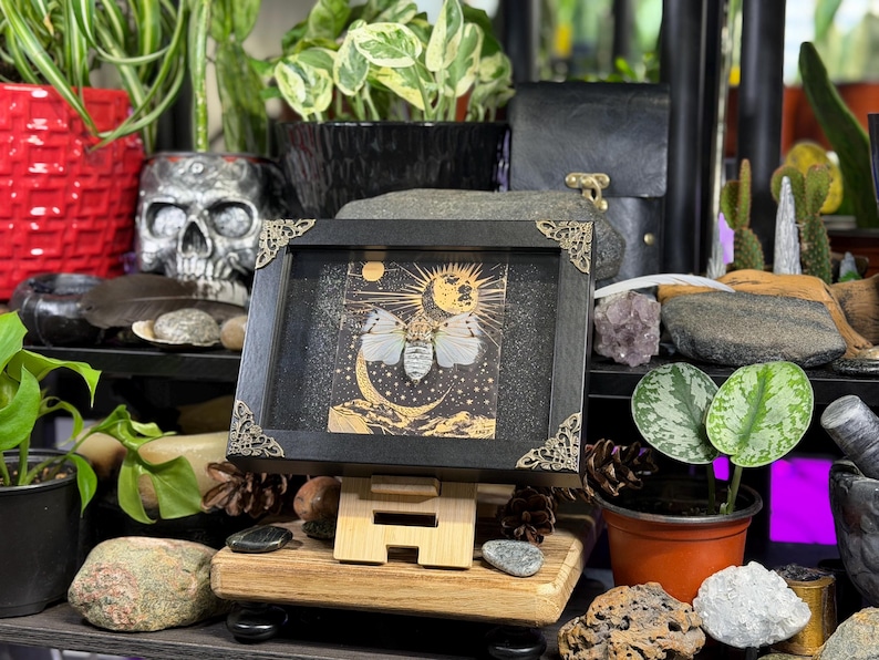 May include: A framed artwork with a celestial theme, depicting a moth, sun, and moon. The black frame has decorative corners and is displayed on a wooden easel. The artwork is surrounded by plants and decorative objects.