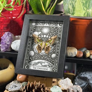 May include: A framed artwork featuring a butterfly with brown and green wings, set against a black and white celestial design. The frame is black, and the artwork is titled "THE UNIVERSE". The artwork is displayed on a wooden easel.