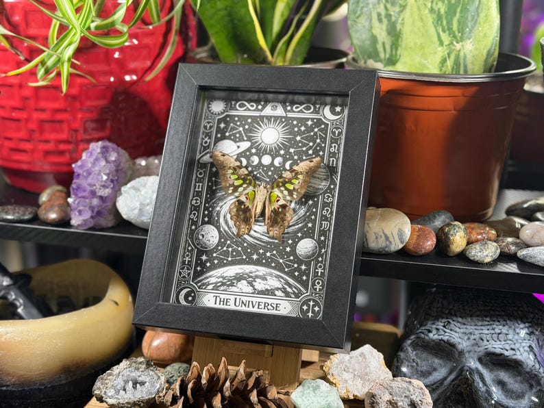 May include: A framed artwork featuring a butterfly with brown and green wings, set against a black and white celestial design. The frame is black, and the artwork is titled "THE UNIVERSE". The artwork is displayed on a wooden easel.