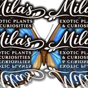 May include: A logo featuring a butterfly with blue and brown wings. The text "Mila's" is displayed in a stylized font, with "EXOTIC PLANTS & CURIOSITIES" below it. The design is repeated.