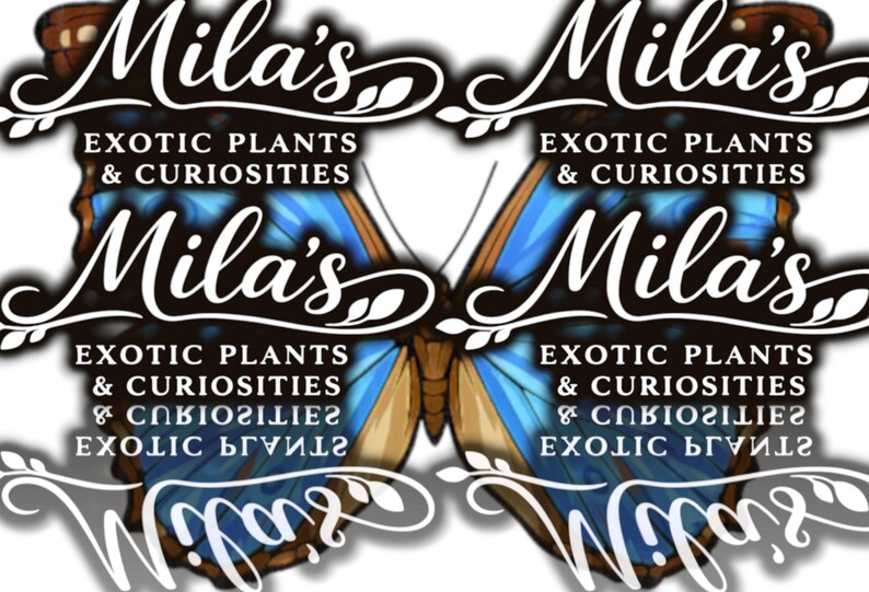 May include: A logo featuring a butterfly with blue and brown wings. The text "Mila's" is displayed in a stylized font, with "EXOTIC PLANTS & CURIOSITIES" below it. The design is repeated.