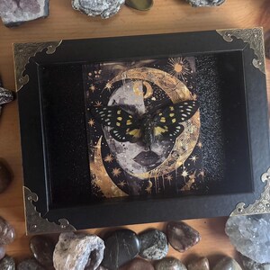 May include: A black framed art piece featuring a moth with yellow and white markings, set against a celestial background of a moon and stars. The artwork is surrounded by decorative corner accents and sits on a wooden surface with various stones.