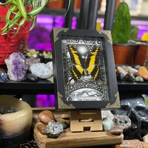 Spécimen encadré du Grand Machaon jaune « L’Univers » | Décoration de Tarot Céleste image 2