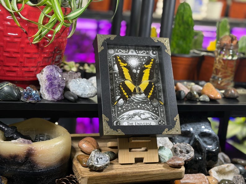 Spécimen encadré du Grand Machaon jaune « L’Univers » | Décoration de Tarot Céleste image 2