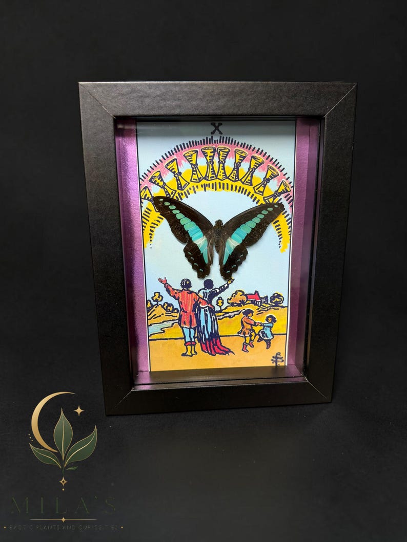 Puede incluir: Una obra de arte enmarcada que presenta una ilustraci&oacute;n de la carta del tarot Diez de Copas con un esp&eacute;cimen de mariposa central. La mariposa tiene alas de color marr&oacute;n oscuro con marcas azul turquesa. La carta muestra a una familia bajo un arco&iacute;ris de diez copas doradas.