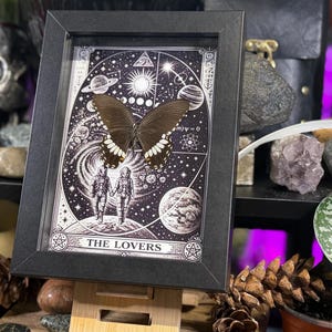 Puede incluir: Una impresi&oacute;n en blanco y negro enmarcada con una mariposa y un dise&ntilde;o de carta del tarot. La impresi&oacute;n incluye las palabras "THE LOVERS" en la parte inferior. La mariposa tiene alas oscuras con marcas blancas. El marco se exhibe en un caballete de madera.