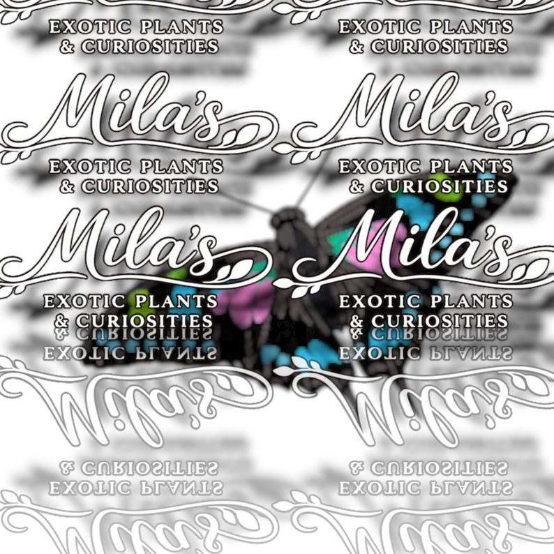 Puede incluir: Un dise&ntilde;o decorativo con una mariposa de alas negras, rosas y azules. La imagen incluye el texto "Mila's" en una fuente estilizada, junto con "EXOTIC PLANTS & CURIOSITIES" en un patr&oacute;n repetitivo.