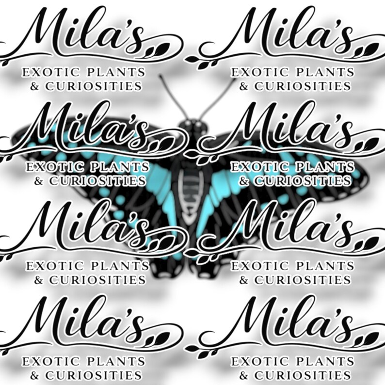 May include: A repeating pattern featuring the text "Mila's Exotic Plants & Curiosities" in a stylized script. A butterfly with black and turquoise wings is centered in the design. The background is white.