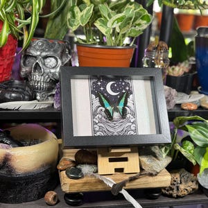 May include: A framed art print featuring a butterfly with turquoise wings, set against a night sky with a crescent moon and stars. The artwork is displayed on a wooden stand, surrounded by plants, stones, and a decorative skull.