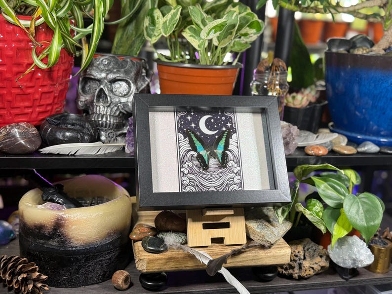 May include: A framed art print featuring a butterfly with turquoise wings, set against a night sky with a crescent moon and stars. The artwork is displayed on a wooden stand, surrounded by plants, stones, and a decorative skull.