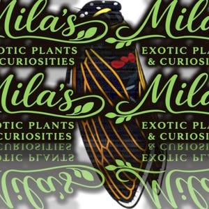 May include: Logo for "Mila's Exotic Plants & Curiosities" featuring a stylized insect with black, yellow, and red details. The name is in a green, cursive font, with the business name below.