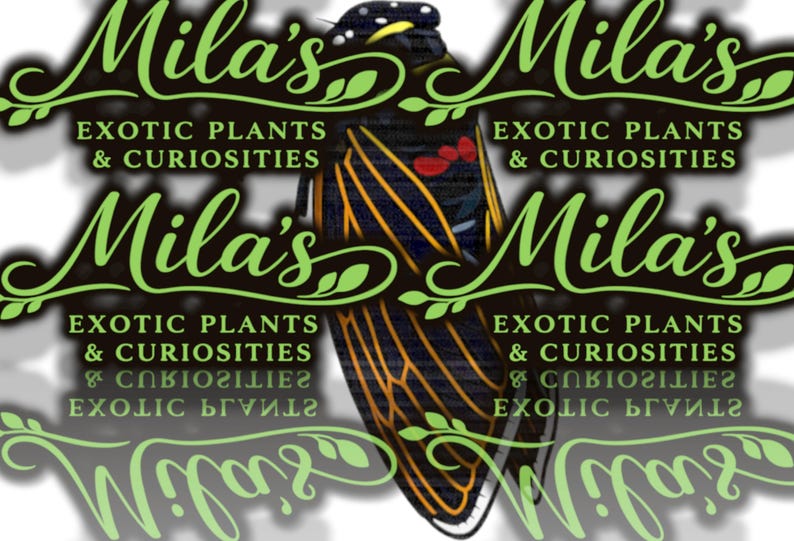May include: Logo for "Mila's Exotic Plants & Curiosities" featuring a stylized insect with black, yellow, and red details. The name is in a green, cursive font, with the business name below.