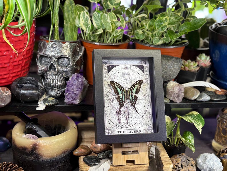 Puede incluir: Una impresi&oacute;n en blanco y negro enmarcada con una mariposa de alas verdes y negras, titulada "THE LOVERS". La impresi&oacute;n se exhibe sobre un soporte de madera, rodeada de plantas, cristales y una maceta con forma de calavera.