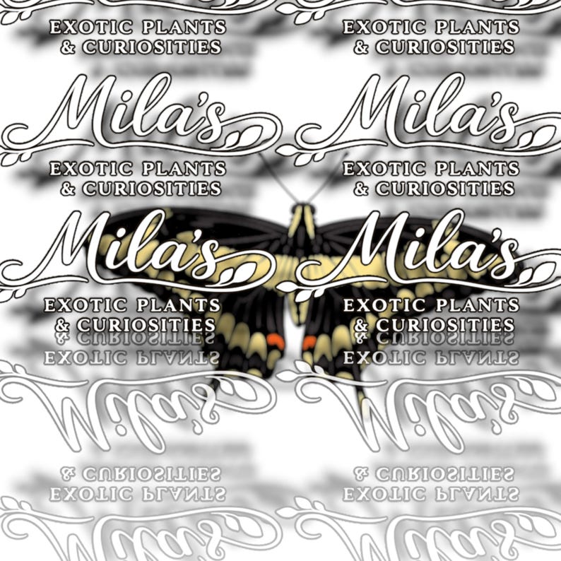 May include: A repeating pattern with the text "Mila's" in a decorative script, and "EXOTIC PLANTS & CURIOSITIES." A butterfly with black, yellow, and red markings is central. The background is white, creating a clean aesthetic.