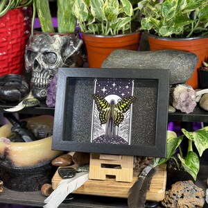 May include: A black framed artwork displaying a butterfly with yellow and black patterns, set against a night sky with stars and a crescent moon. The frame is on a wooden stand, with plants, crystals, and a skull nearby.