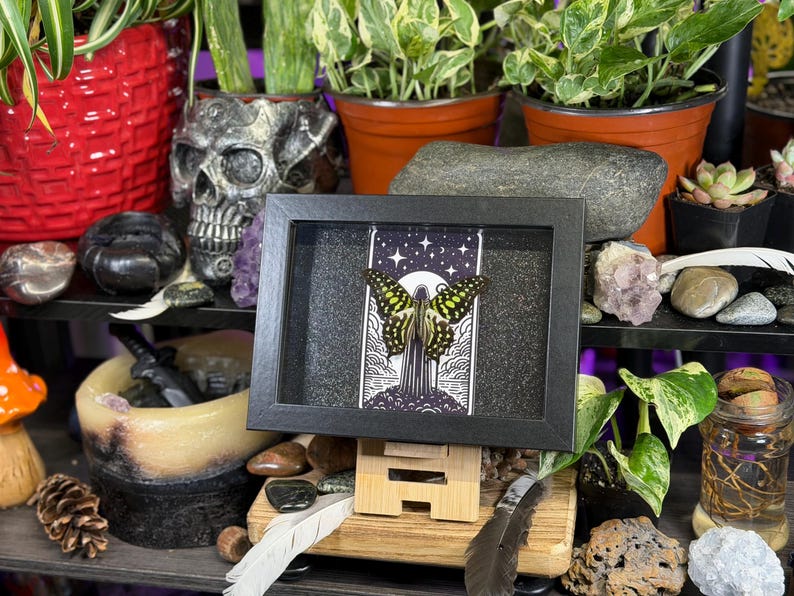 May include: A black framed artwork displaying a butterfly with yellow and black patterns, set against a night sky with stars and a crescent moon. The frame is on a wooden stand, with plants, crystals, and a skull nearby.