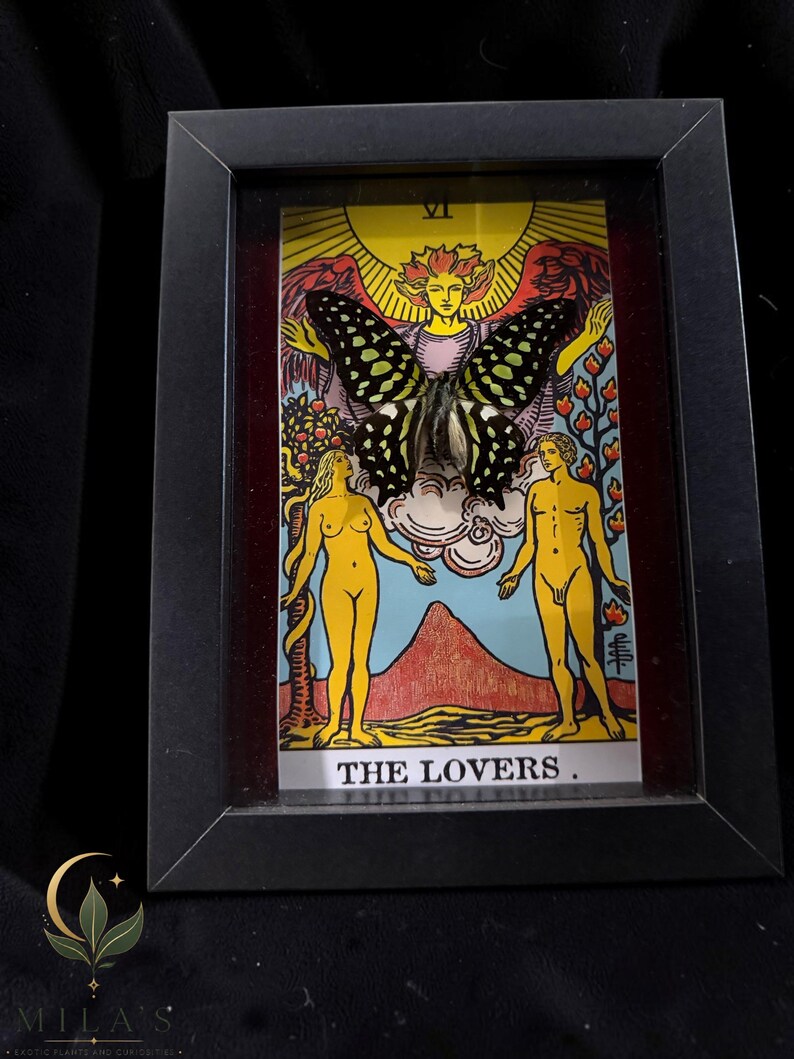 May include: A black rectangular frame containing a tarot card titled THE LOVERS, featuring a yellow sun, two figures, and a tree. A large, dark butterfly with light green spots is mounted over the centre of the card, partially obscuring the image.