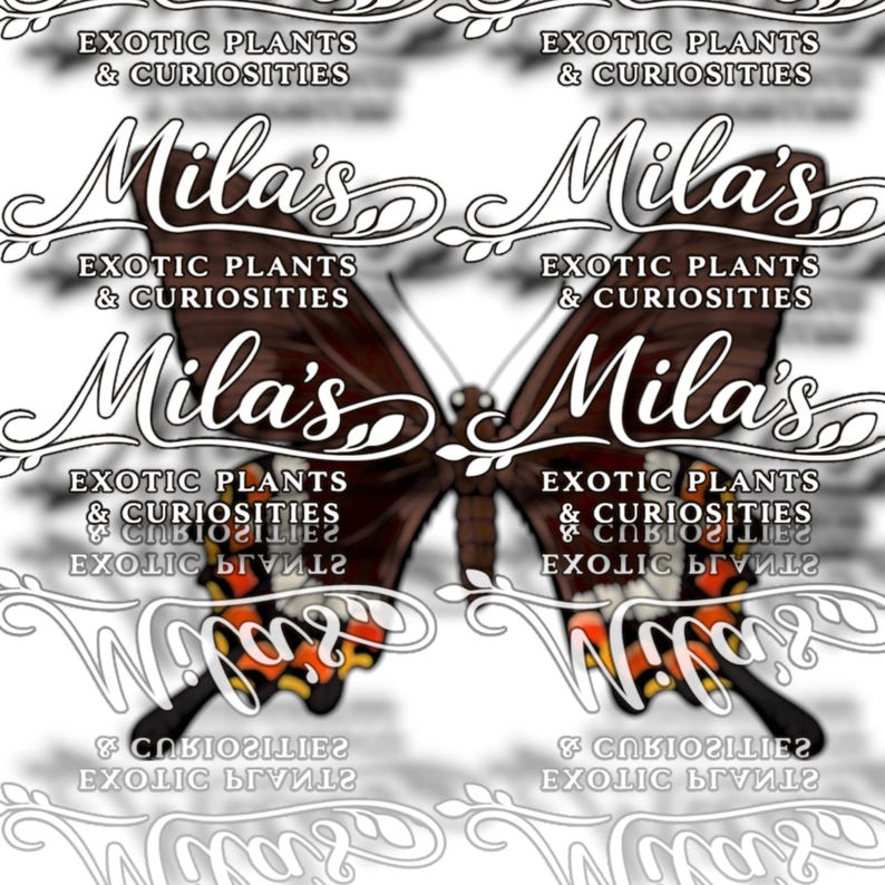 以下が含まれることがあります： デジタル画像。蝶のデザインで、名前は「Mila's」とエレガントな筆記体で書かれています。蝶は茶色の羽にオレンジと黒のアクセントがあります。「EXOTIC PLANTS & CURIOSITIES」の文字が蝶の周りに繰り返されています。
