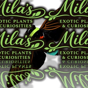 May include: A logo for "Mila's Exotic Plants & Curiosities" features a stylized butterfly with black, orange, and teal accents. The text is in a cursive font with a green color, and the words are repeated multiple times.