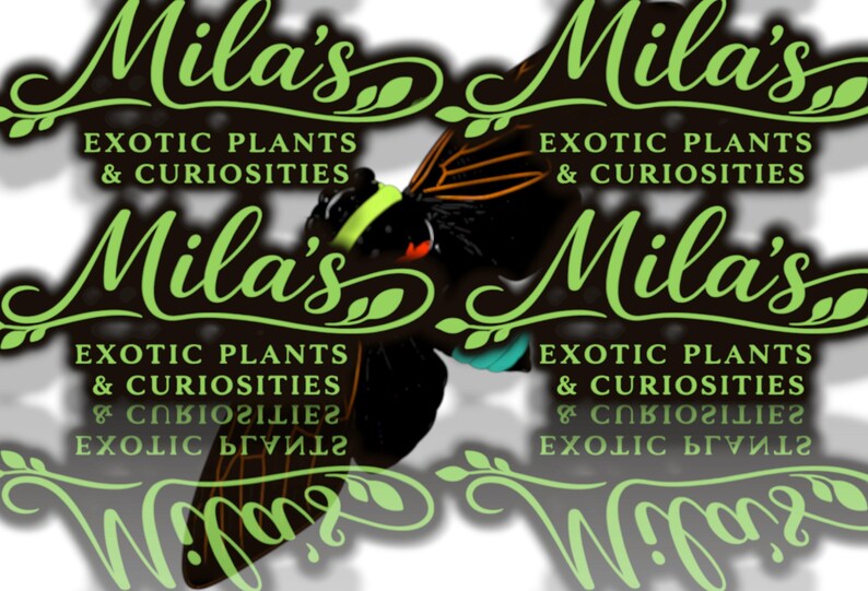 May include: A logo for "Mila's Exotic Plants & Curiosities" features a stylized butterfly with black, orange, and teal accents. The text is in a cursive font with a green color, and the words are repeated multiple times.