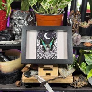 May include: A framed art print featuring a butterfly with teal and black wings, set against a night sky with a crescent moon and stars. The artwork is displayed on a wooden stand, surrounded by plants and decorative items.
