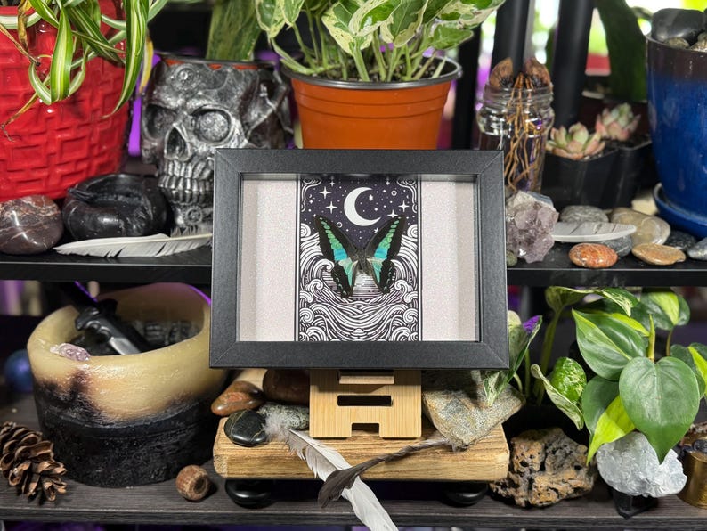 May include: A framed art print featuring a butterfly with teal and black wings, set against a night sky with a crescent moon and stars. The artwork is displayed on a wooden stand, surrounded by plants and decorative items.