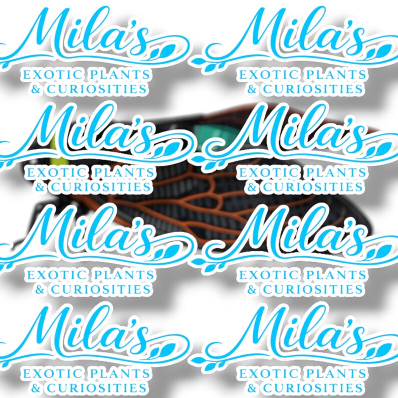 K&ouml;nnte beinhalten: Eine Collage von Aufklebern mit dem Text "Mila's Exotic Plants & Curiosities" in hellblauer Schrift. Die Aufkleber haben einen wei&szlig;en Hintergrund und ein dekoratives Blattdesign.