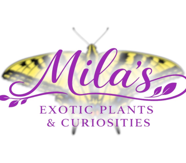 May include: A logo with the name "Mila's" in purple cursive, set against a butterfly design. The text "EXOTIC PLANTS & CURIOSITIES" is displayed below in purple. The overall design suggests a shop.