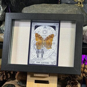 Pode incluir: Uma obra de arte emoldurada com uma carta de tar&ocirc; com uma borboleta e as palavras "THE LOVERS". A carta tem um fundo branco com ilustra&ccedil;&otilde;es celestiais e uma borboleta com asas laranja e marrom. A moldura &eacute; preta.
