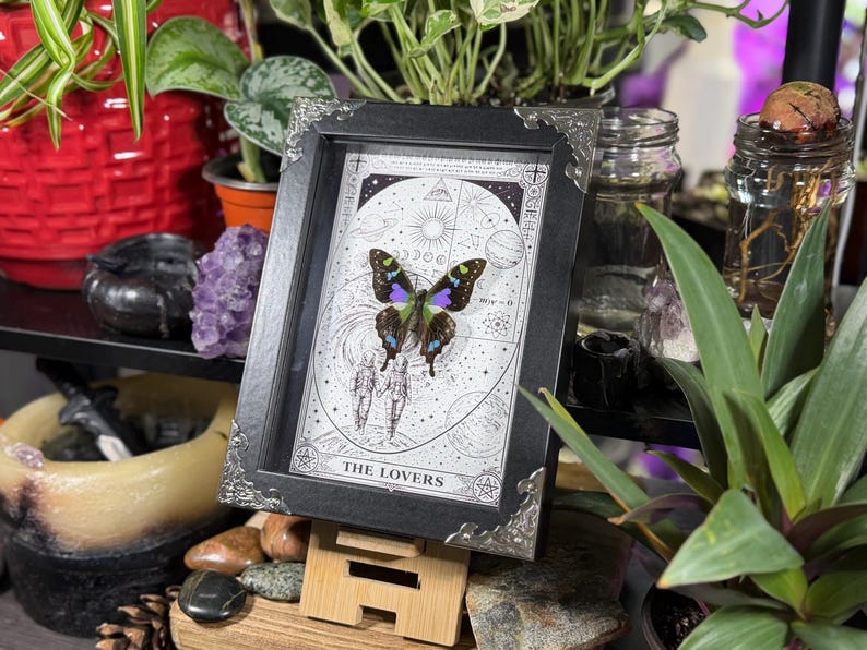 K&ouml;nnte beinhalten: Ein gerahmtes Kunstwerk mit einem Schmetterling mit blauen, gr&uuml;nen und lila Fl&uuml;geln. Das Kunstwerk ist vor einem wei&szlig;en Hintergrund mit astrologischen Symbolen und dem Text "THE LOVERS" platziert. Der Rahmen ist schwarz mit dekorativen silbernen Ecken.