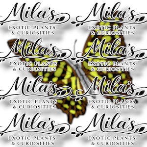 May include: A repeating pattern with the text "Mila's Exotic Plants & Curiosities" in a decorative script. A butterfly with yellow and brown wings is in the center. The design is repeated across a white background.