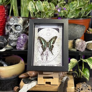 Puede incluir: Una impresi&oacute;n enmarcada que presenta una mariposa con alas negras y turquesas, sobre un fondo celestial. La impresi&oacute;n est&aacute; etiquetada como "THE LOVERS" y se muestra en un peque&ntilde;o caballete de madera. El marco es negro.