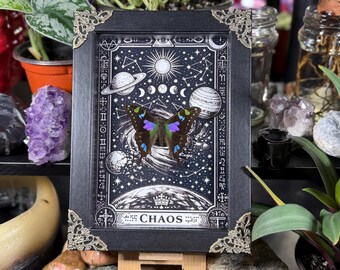 Framed Butterfly Purple Spotted Swallowtail “Chaos” Custom Tarot Inspired Background - Graphium Weiskei