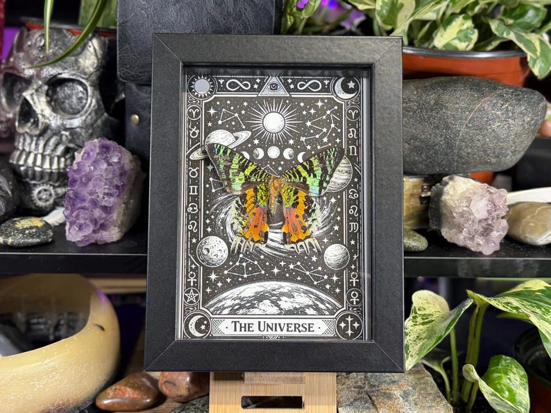 May include: A framed artwork featuring a butterfly with green, orange, and yellow wings, set against a black and white celestial background. The artwork is framed in a black rectangular frame, with the words "The Universe" at the bottom.