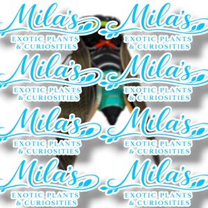 K&ouml;nnte beinhalten: Wiederholendes Muster von Aufklebern mit einer Zikade und dem Text "Mila's Exotic Plants & Curiosities" in einem stilisierten, hellblauen Schriftzug. Die Zikade hat einen schwarzen und gr&uuml;nen K&ouml;rper mit orangefarbenen Akzenten.