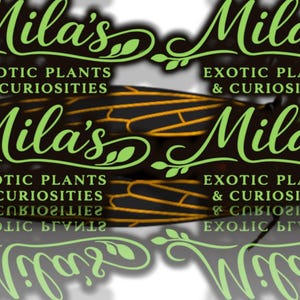 May include: Image features the text "Mila's Exotic Plants & Curiosities" in green script. A cicada with black and orange wings is centered. The design is repeated multiple times.