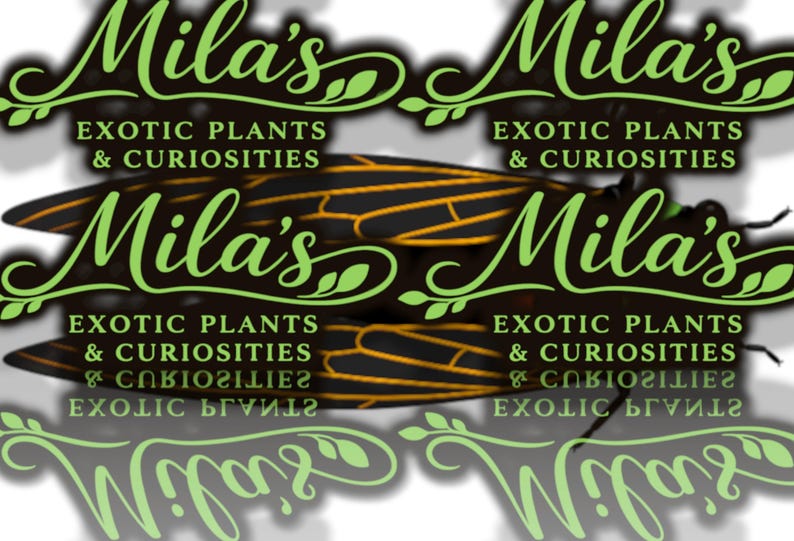 May include: Image features the text "Mila's Exotic Plants & Curiosities" in green script. A cicada with black and orange wings is centered. The design is repeated multiple times.