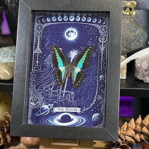 Puede incluir: Obra de arte enmarcada con una mariposa de alas negras, turquesas y azules, sobre un fondo celeste azul oscuro. La obra incluye ilustraciones de la luna, planetas y el texto "THE MOON". El marco es negro.