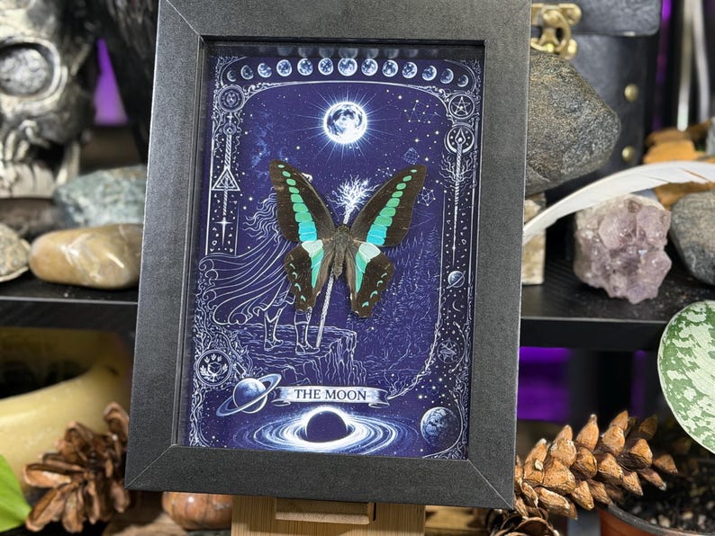Puede incluir: Obra de arte enmarcada con una mariposa de alas negras, turquesas y azules, sobre un fondo celeste azul oscuro. La obra incluye ilustraciones de la luna, planetas y el texto "THE MOON". El marco es negro.