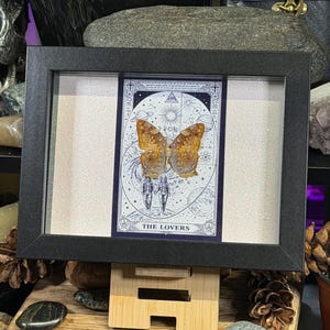 Pode incluir: Uma obra de arte emoldurada com um esp&eacute;cime de borboleta montado em uma carta de tar&ocirc;. A carta &eacute; rotulada como "THE LOVERS" e tem um design celestial. A borboleta tem asas marrons e laranja. A moldura &eacute; preta e fica em um suporte de madeira.