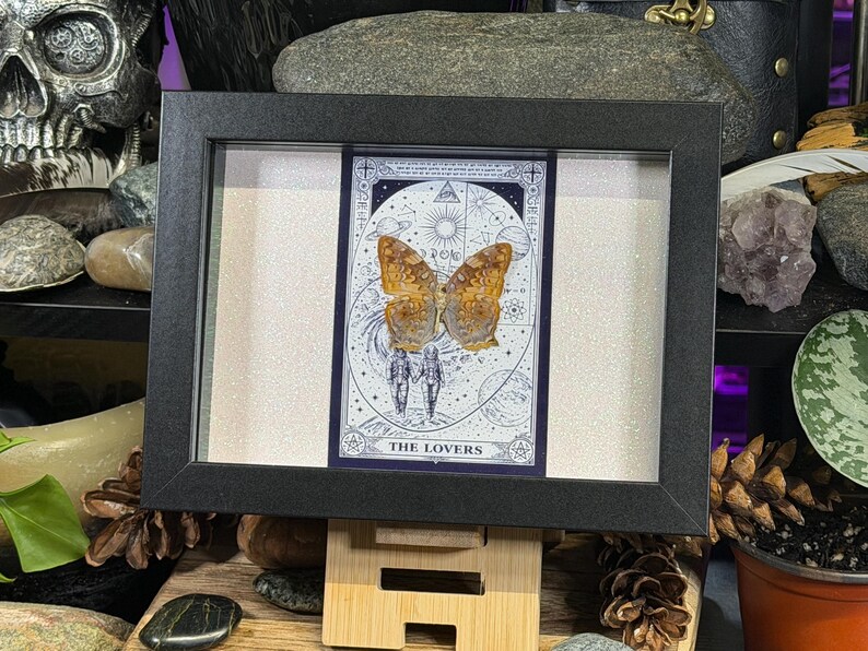 Pode incluir: Uma obra de arte emoldurada com um esp&eacute;cime de borboleta montado em uma carta de tar&ocirc;. A carta &eacute; rotulada como "THE LOVERS" e tem um design celestial. A borboleta tem asas marrons e laranja. A moldura &eacute; preta e fica em um suporte de madeira.