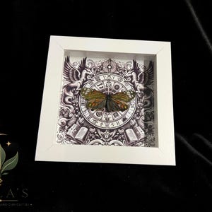 May include: A square white shadow box frame containing a preserved butterfly with orange and brown wings. The background features a detailed black and white illustration of a circular zodiac chart, two winged creatures, and open books.