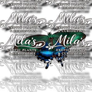 May include: A digital image of a butterfly with green and blue wings. The image includes the text "Mila's" in a decorative font, along with the words "Exotic Plants & Curiosities". The background is white.