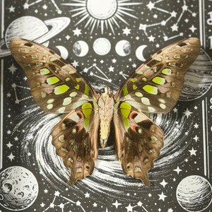 May include: A detailed image of a butterfly with brown wings, accented with green and red spots. The butterfly is centered on a black and white celestial-themed background featuring planets, stars, and phases of the moon.