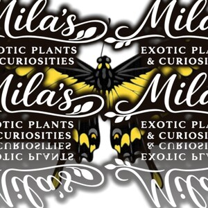 Kunglig gul svalstjärt PNG-paket 1 av 2 | 22 Papilio thoas 300 DPI fjärils clipartfiler bild 18