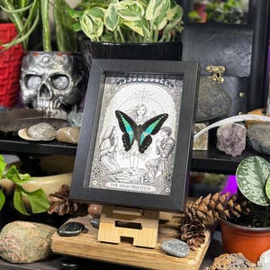 May include: A framed black and white illustration of "The High Priestess" tarot card, featuring a butterfly with blue and black wings. The artwork is displayed on a small wooden easel, surrounded by plants and decorative items.