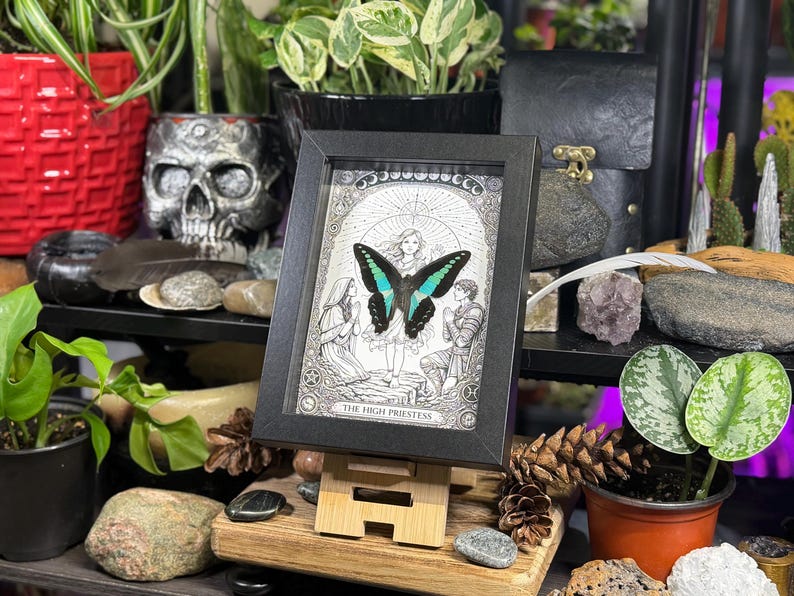 May include: A framed black and white illustration of "The High Priestess" tarot card, featuring a butterfly with blue and black wings. The artwork is displayed on a small wooden easel, surrounded by plants and decorative items.