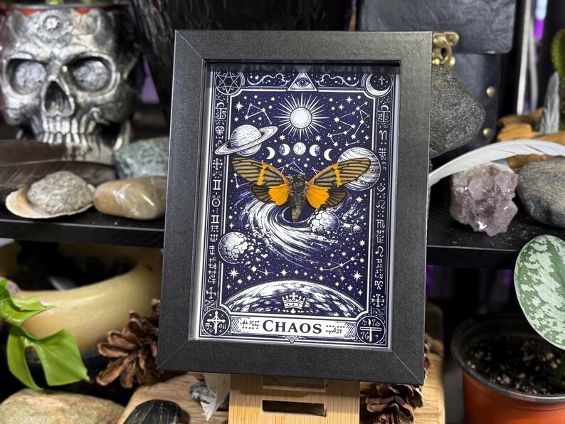 May include: A framed artwork featuring a celestial design with a butterfly. The artwork has a dark blue background with white stars, planets, and a sun. The butterfly has orange and black wings. The word "CHAOS" is at the bottom.