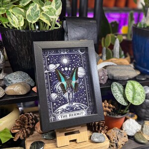 Blue Bottleneck “The Hermit Celestial Wanderer” Framed Specimen Art | Graphium sarpedon Tarot Decor bild 6